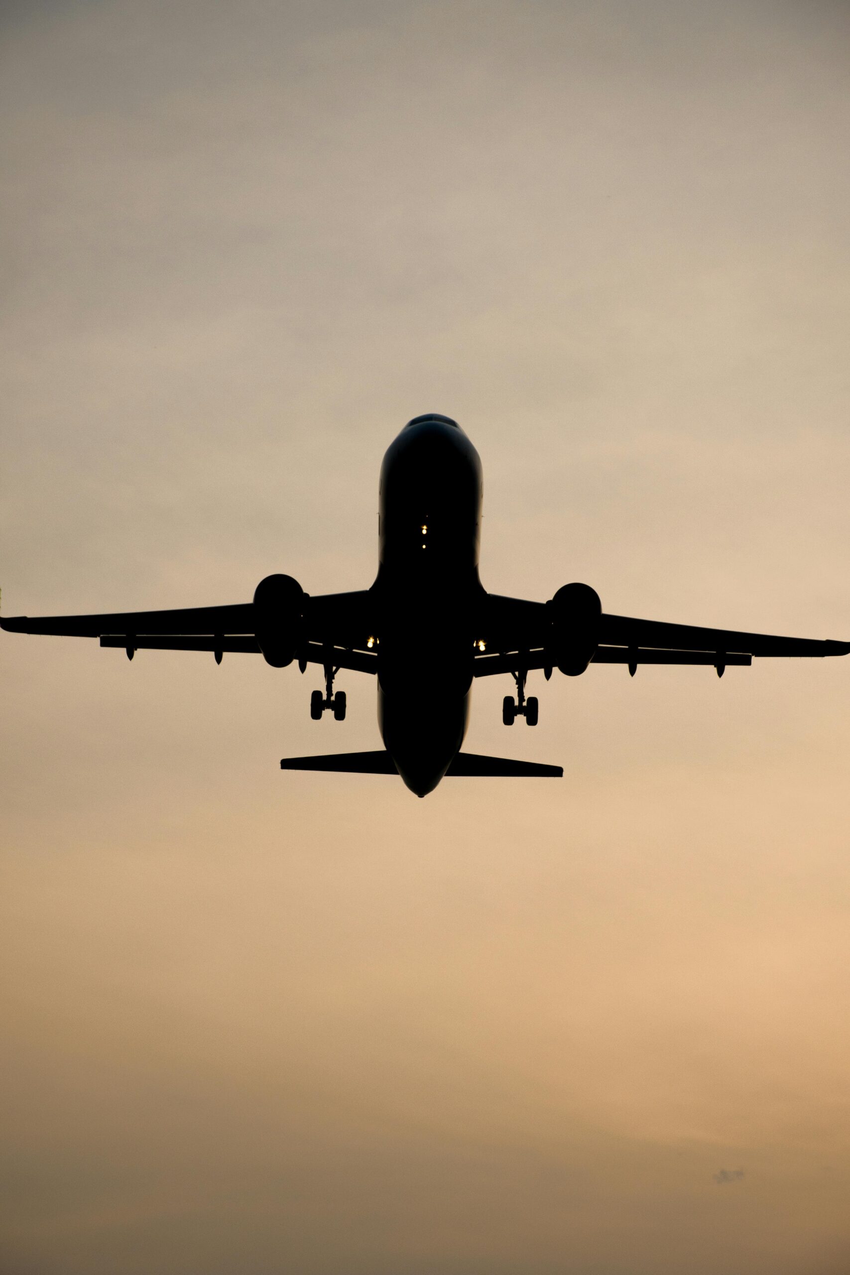 Additional Services Dramatic silhouette of an airplane flying against a warm sunset sky, capturing the essence of travel and adventure.
